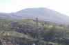 20080125_162406.jpg - 2008:01:25 16:24:06