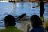 20080126_125355.jpg - 2008:01:26 12:53:55