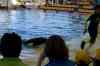 20080126_125502.jpg - 2008:01:26 12:55:02
