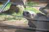 20080126_131956.jpg - 2008:01:26 13:19:56