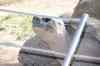 20080126_132012.jpg - 2008:01:26 13:20:12