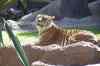 20080126_132403.jpg - 2008:01:26 13:24:03