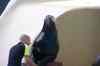 20080126_163101.jpg - 2008:01:26 16:31:01