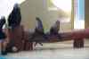 20080126_163224.jpg - 2008:01:26 16:32:24