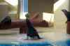 20080126_163253.jpg - 2008:01:26 16:32:53