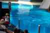20080126_163424.jpg - 2008:01:26 16:34:24