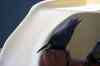 20080126_163535.jpg - 2008:01:26 16:35:35