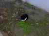 20080123_074924.jpg - 2008:01:23 07:49:24