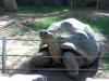 20080126_122049.jpg - 2008:01:26 12:20:49