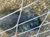 20080126_124238.jpg - 2008:01:26 12:42:38