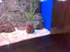 20080126_150051.jpg - 2008:01:26 15:00:51