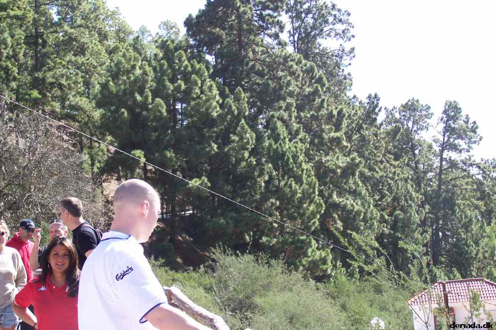 * Image 41