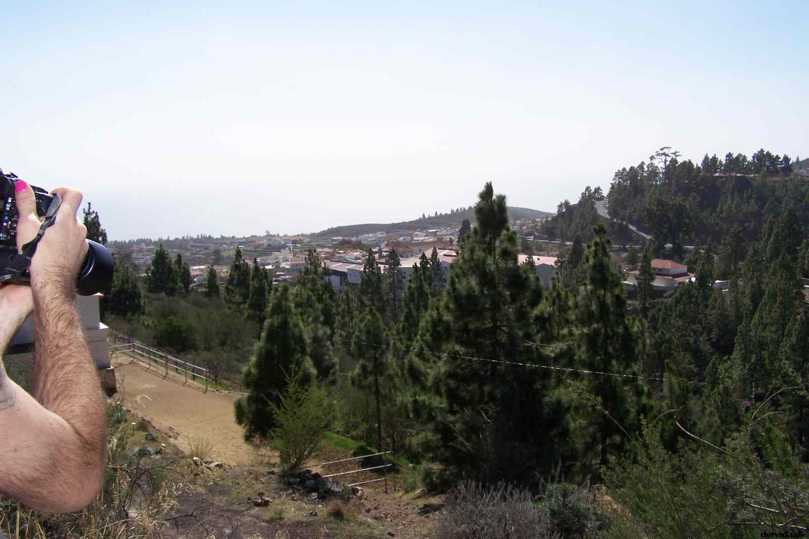 * Image 39