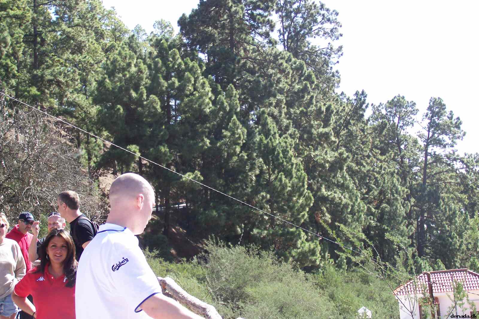 * Image 41