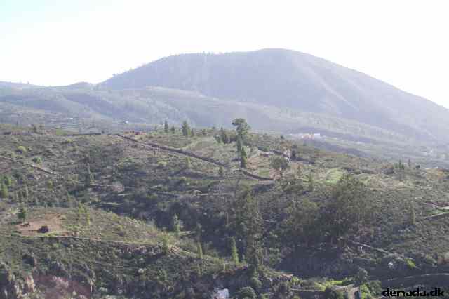 * Image 56