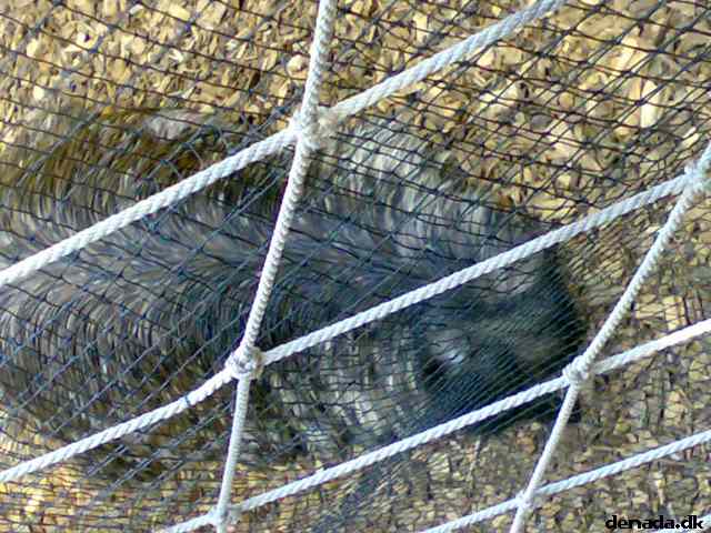 * Image 68