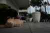 tenerife154.jpg - 2008:01:23 13:11:00