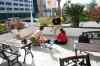 tenerife180.jpg - 2008:01:23 13:32:28