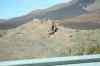 tenerife397.jpg - 2008:01:25 15:43:54