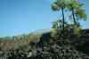 tenerife440.jpg - 2008:01:25 16:56:30