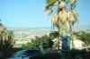 tenerife458.jpg - 2008:01:25 18:28:34