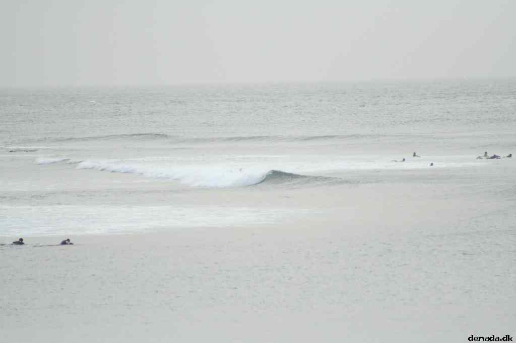 * Image 51