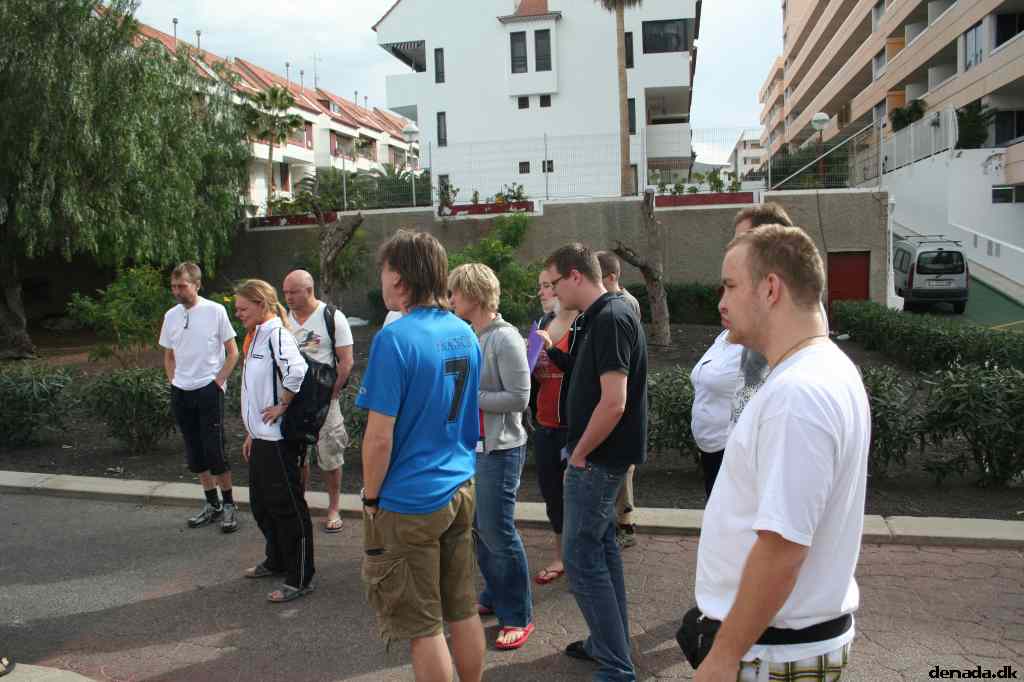 * Image 204