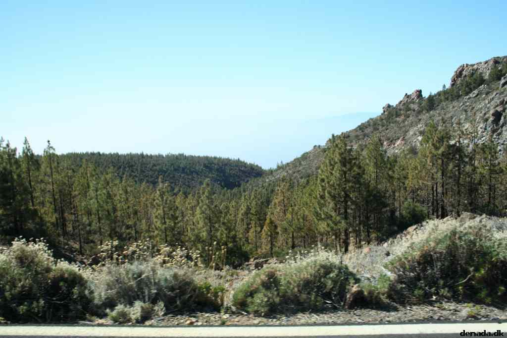 * Image 376