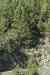 tenerife382.jpg - 2008:01:25 15:18:18