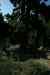 tenerife384.jpg - 2008:01:25 15:24:15