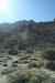 tenerife404.jpg - 2008:01:25 15:48:26