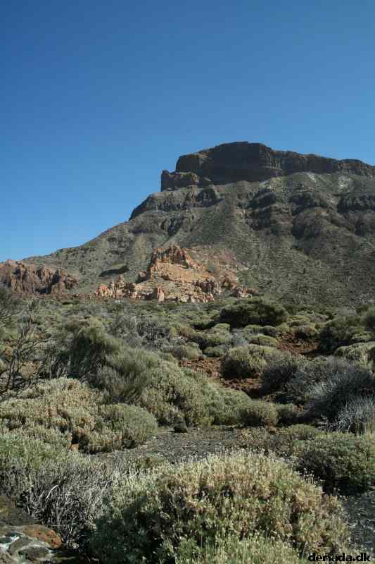 * Image 408