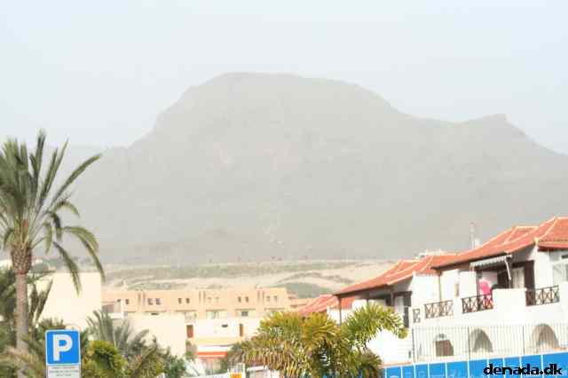 * Image 43