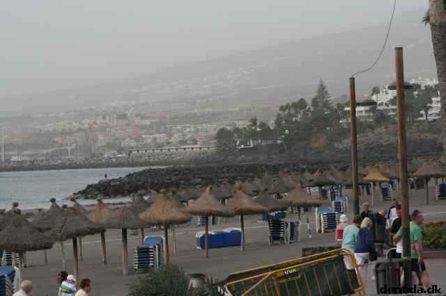 * Image 46