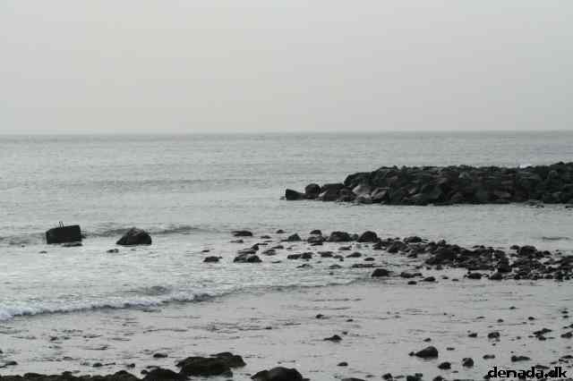 * Image 49