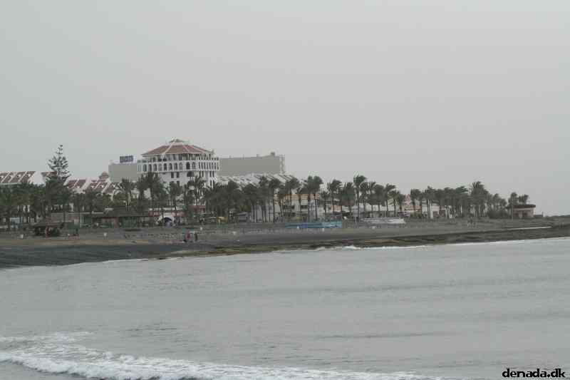 * Image 48