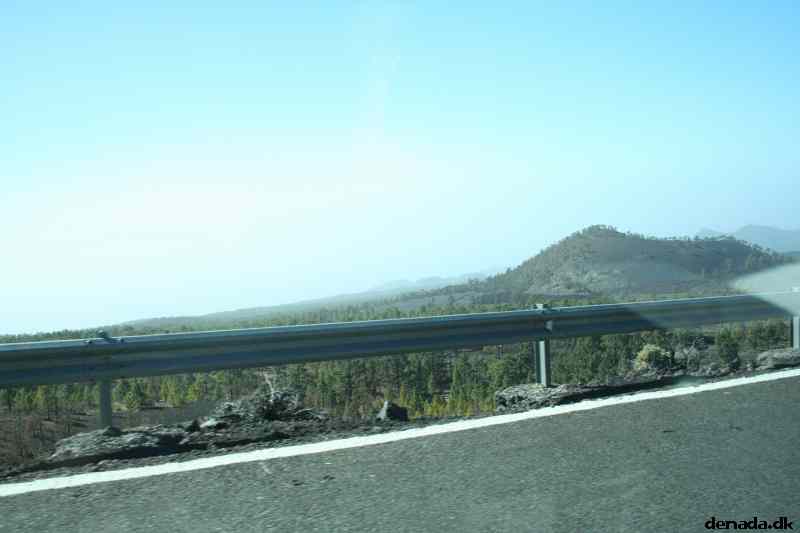 * Image 423