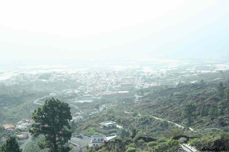 * Image 426