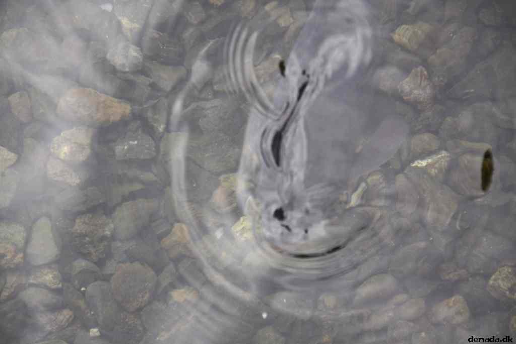 * Image 151