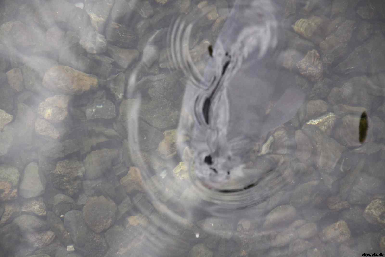 * Image 151