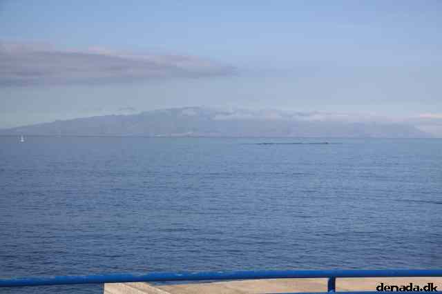 * Image 70