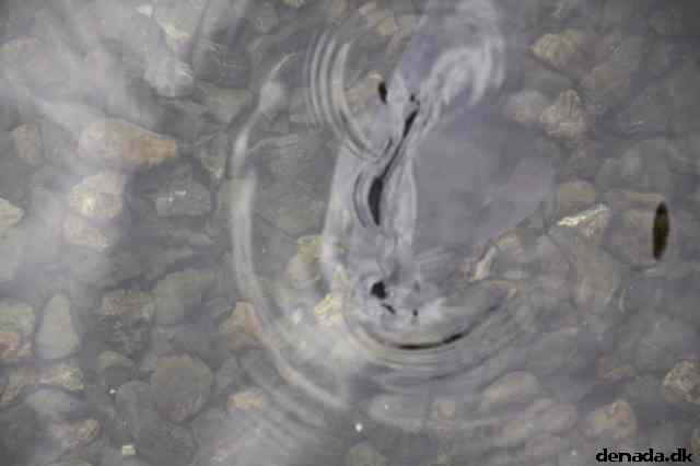 * Image 151