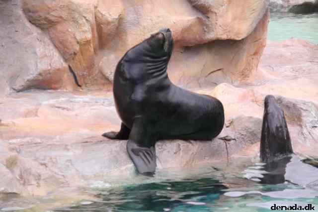 * Image 153