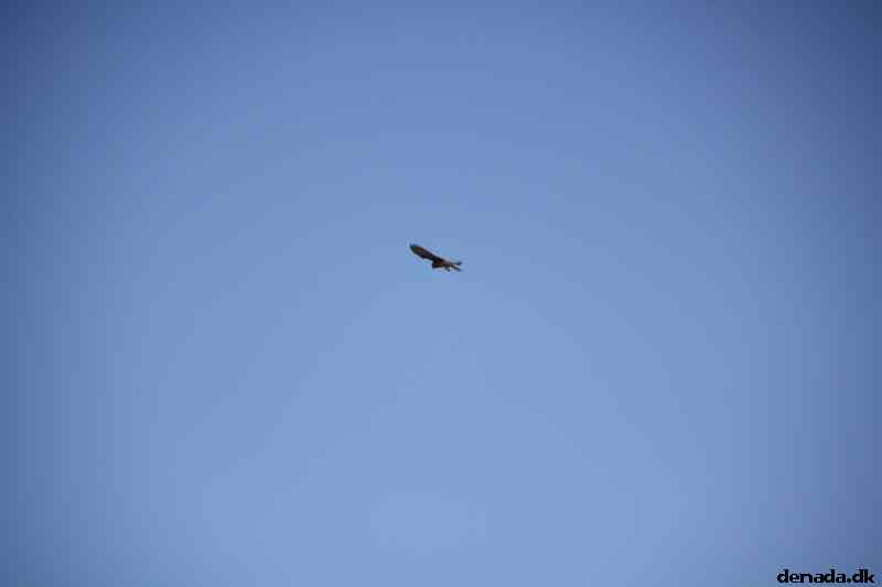 * Image 130