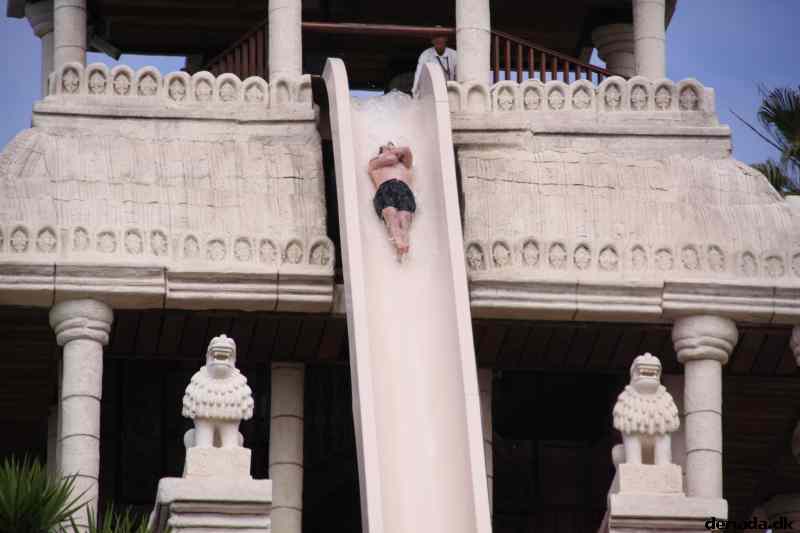 * Image 133