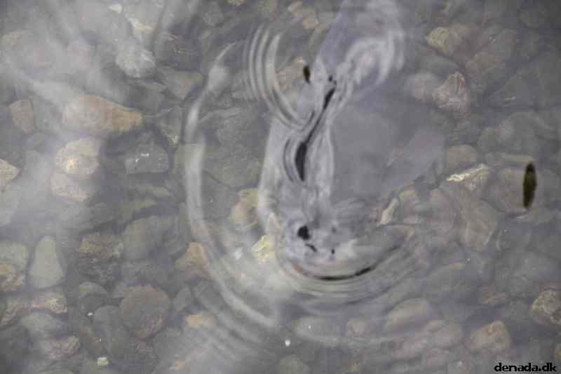 * Image 151