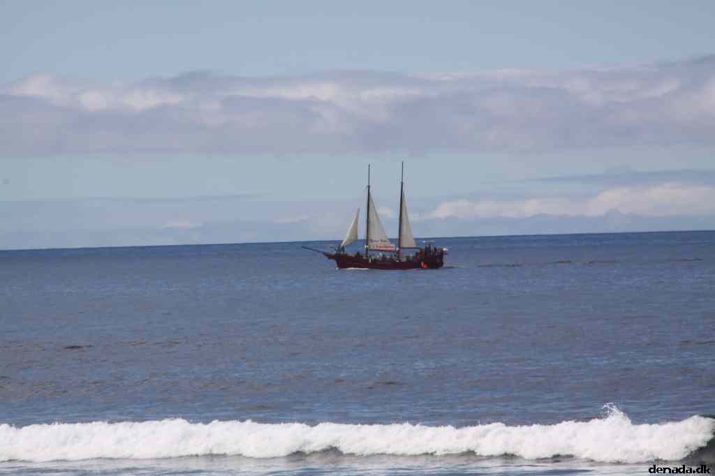 * Image 4