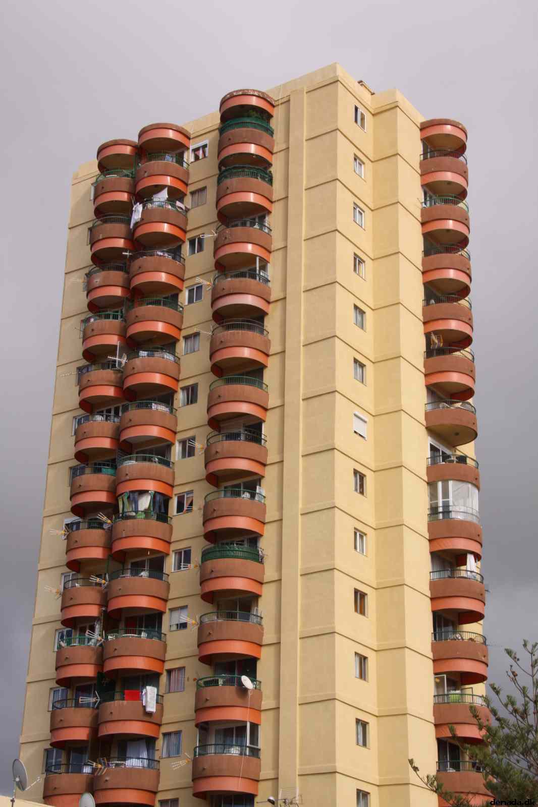 * Image 15