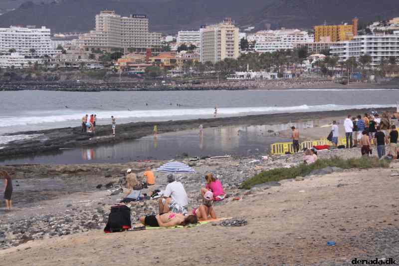 * Image 5