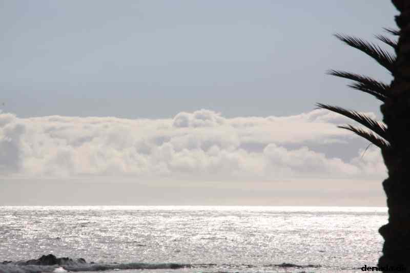 * Image 17